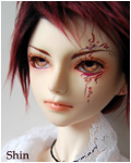 Shin